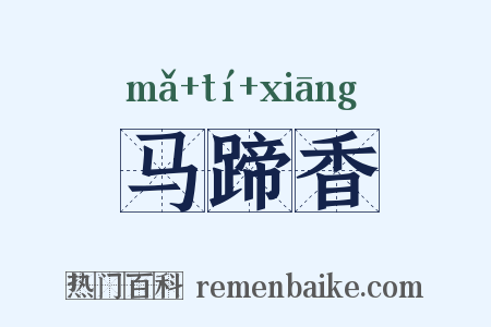 马蹄香是什么意思的图片